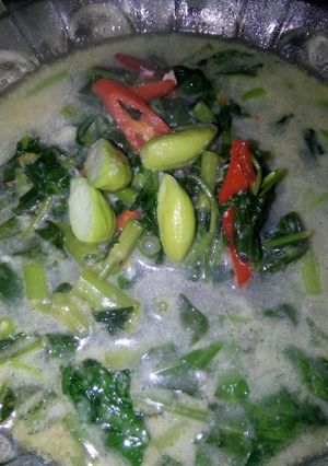 Foto resep Bobor Kangkung ala Wida
