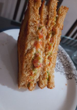 A picture of Mayo sandwich.