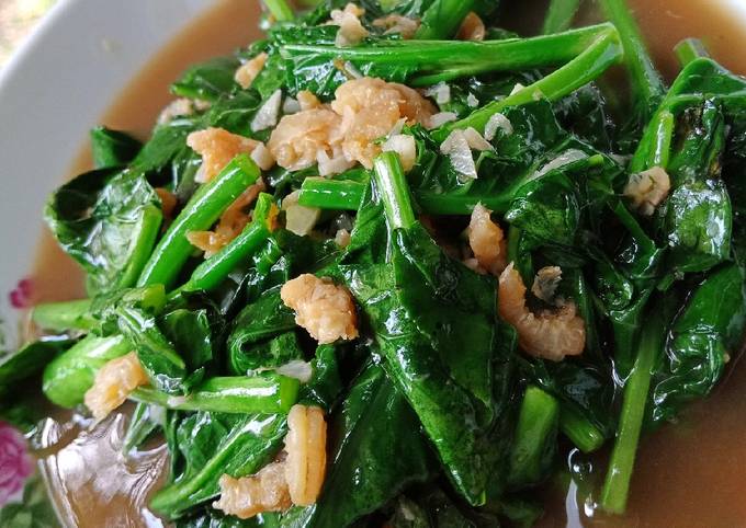 Baby Kailan Saos Tiram