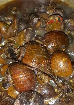 Foto resep Keong sawah Alias Kraca khas bumiayu