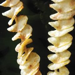 Spiral potato french fries A picture of Spiral potato french fries.