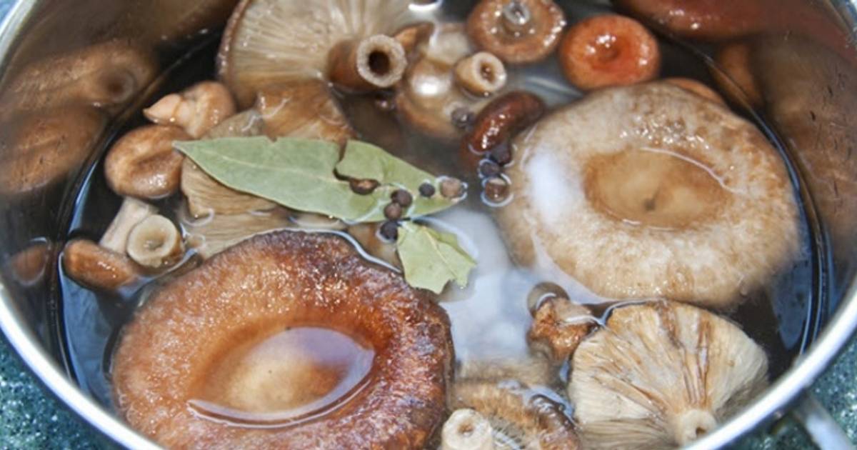 Маринованные волнушки пошаговый рецепт с картинками