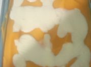 Una foto de pastel de calabaza