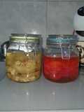 Berenjenas al escabeche y morrones dulces 🍆🫑