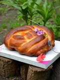 🌼Pan jalá🌼