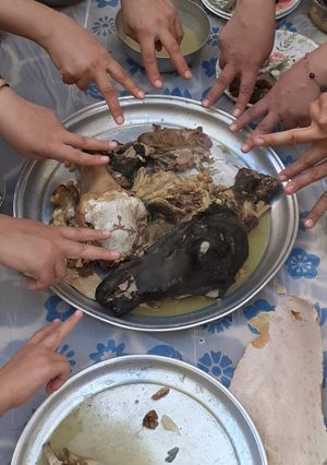 عکسی از دستور 🐑کله پاچه🐑