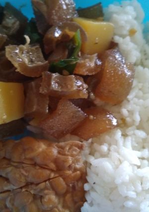 Foto resep Bekal praktis: Nasi, tempe goreng, oseng kikil cabai hijau