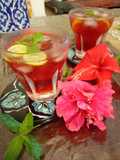 Hibiscus Fresca