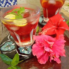 A picture of Hibiscus Fresca.