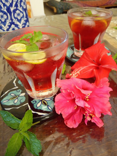 A picture of Hibiscus Fresca.