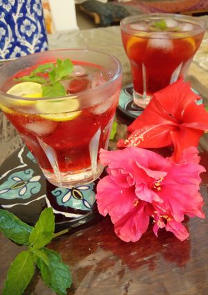 A picture of Hibiscus Fresca.