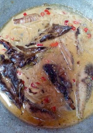 Foto resep Tongkol masak santan