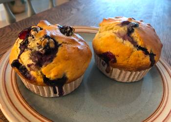 Popular Cuisine Moist Yoghurt Blueberry Muffins Delicious Steady
