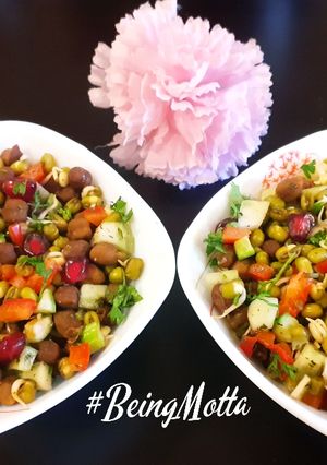 A picture of Protein Bhel.