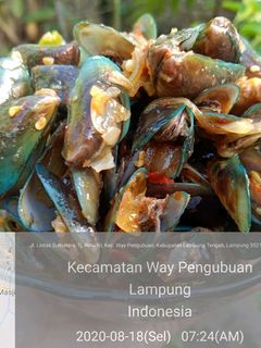 Foto resep Kerang Hijau Saus Padang