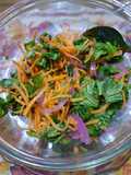 Rúcula, zanahoria, cebolla morada en ensalada