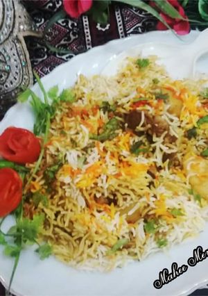 A picture of Sindhi biryani.