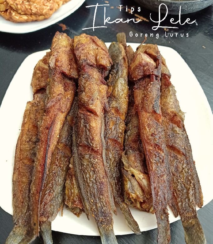 Resep Tips Ikan Lele Goreng (Lurus Tdk Melengkung) oleh ...