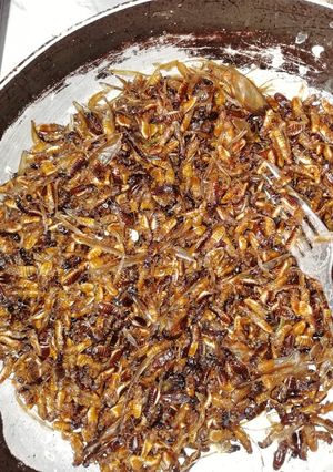 A picture of Ngwen#snack recipe contest #4week challenge.
