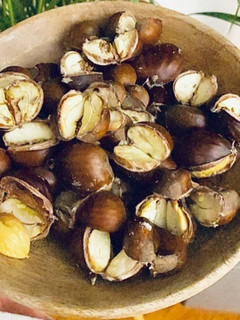 Foto de Castanhas no microondas