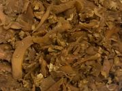 Gambar lumpia rebung