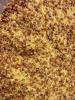 દાલ મુઠ dal muth recipe in Gujarati ) રેસીપી મુખ્ય ફોટો