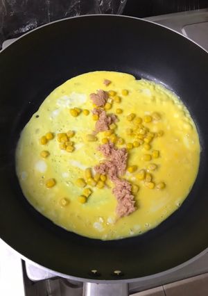 蛋餅（無蛋餅皮、無油，健康減肥省錢超簡單版） 的食譜成品照片