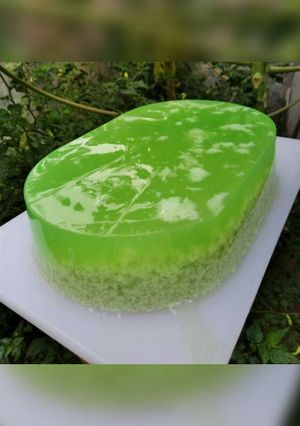Foto resep Puding lumut simpel(2)