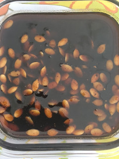 A picture of Tamarind chutney.