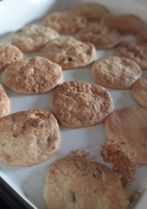 Una foto de Galletitas tipo Toddys😋
