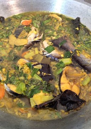 Foto resep Pindang Patin
