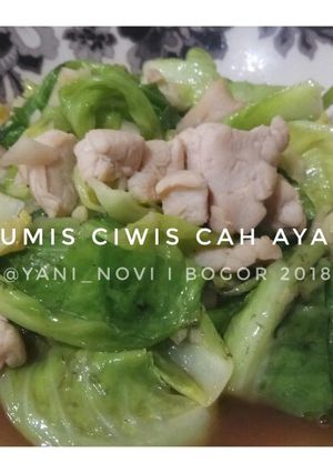 Foto resep Tumis ciwis cah ayam