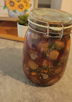 عکسی از دستور ترشی قارچ