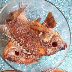 A picture of Fried Fish #fishcontest.