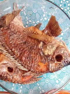 A picture of Fried Fish #fishcontest.
