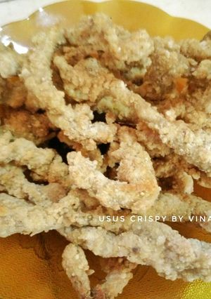 Foto resep Usus Crispy