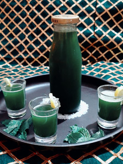 ફુદીના શરબત (Pudina Sharbat Recipe in Gujarati) રેસીપી મુખ્ય ફોટો
