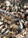 Percebes cocidos