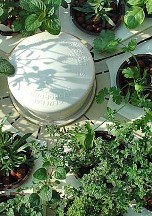 A picture of Hệ thống Aquaponics xanh ở Việt Nam là gì.