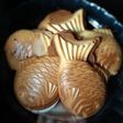 Hongkong egg waffle pake cetakan taiyaki