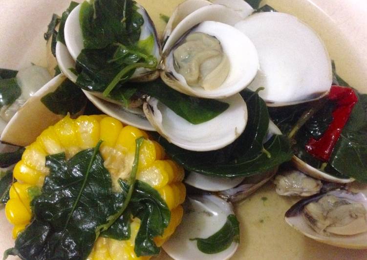 Resep Bening Katuk Kerang Tahu yang Lezat Sekali