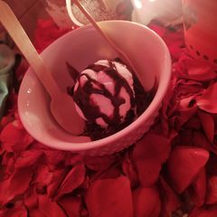 A picture of Vanilla with browniee.