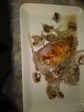 Mushrooms & Onion Chicken
