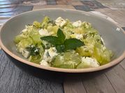 Une photo de menthe courgette