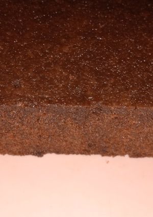 Foto resep Brownies milo tanpa dcc dan coklat bubuk
