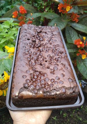 Foto resep Brownies panggang chococips