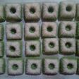 Putu ayu simpel bahan irit