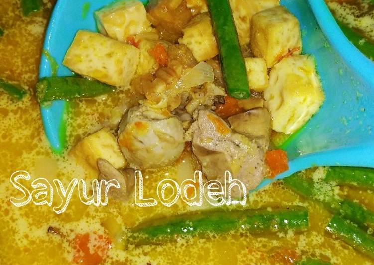 Cara Gampang Menyiapkan Sayur lodeh hati ayam Anti Gagal