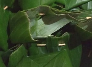 Foto resep Botok Manding