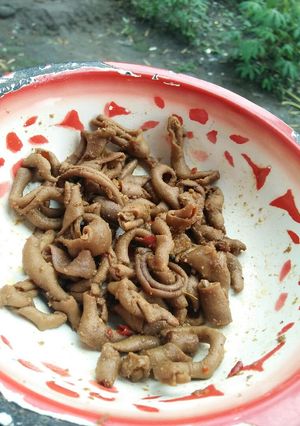 Foto resep Sate usus